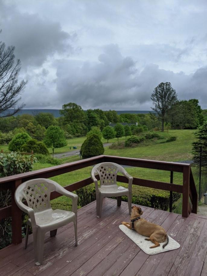 Fenced Yard Chalets From Good Dog Vacations At Big Valley Resort Sciota Εξωτερικό φωτογραφία